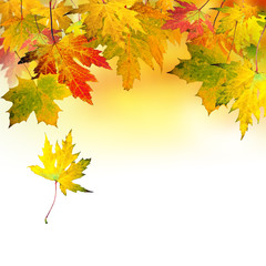 Herbst: Fallende, bunte Blätter :)