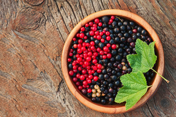 Bllack and red currant and green leaves in wooden bowl.