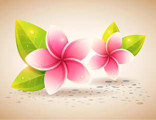 Peaceful and relaxing card with spa exotic flowers © Yuzach