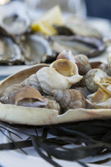Plateau de Fruits de Mer Bretagne
