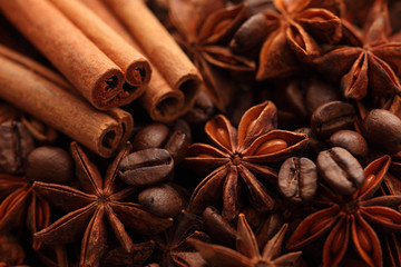 Obraz na płótnie Canvas Cinnamon sticks, star anise and coffee beans