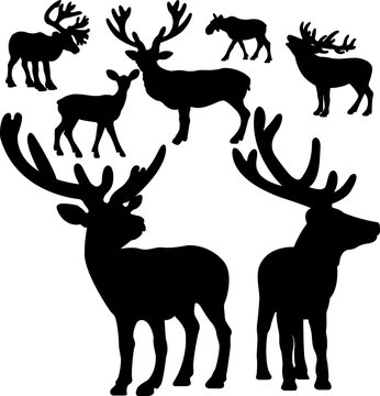 Deer collection vectorized silhouettes