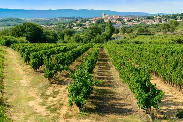 Fototapeten Languedoc vineyards around Beziers Herault France © 7horses