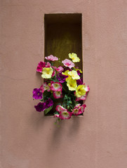 Fototapeta na wymiar the artificial flower decoration on the wall