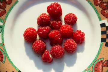 Fresh raspberry in a white bowl
