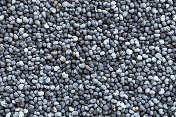 Poppy seeds background