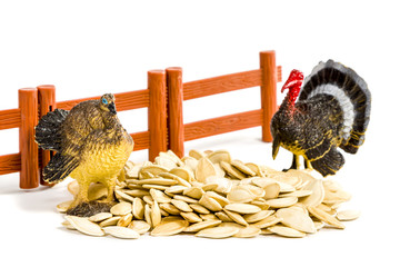 Colorful turkey toy and seeds
