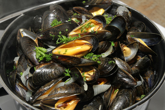 moules