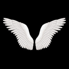Fototapeta na wymiar White wings on black vector illustration