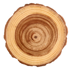 Wood log cross section rings