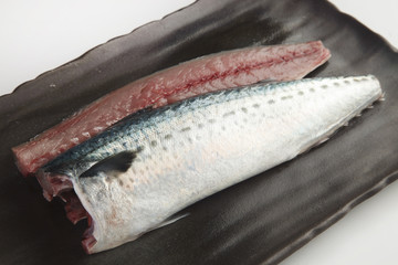 鯖