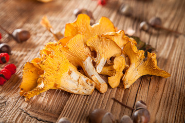 Obraz na płótnie Canvas Golden chanterelles on wooden planks