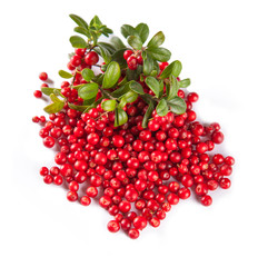 Cranbery on white background