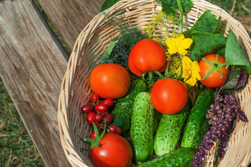 tomato, cucumber. vegetables  in basket