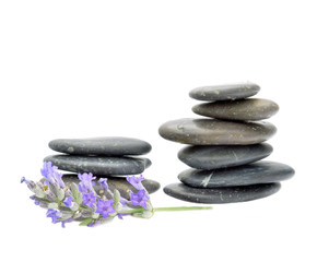 Obraz na płótnie Canvas Santorini volcanic pebbles and a lavender flower.