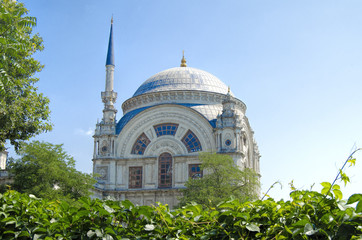 Fototapeta na wymiar Dolmabahce Mosque and Tree@Istanbul