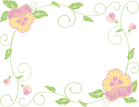 frame of the pansies