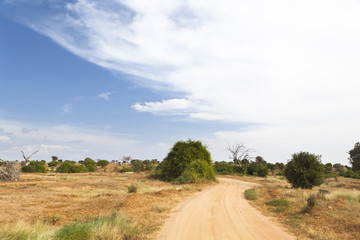 Fototapeta na wymiar Tsavo East Landscape in Kenya