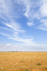 Obraz premium Tsavo East Landscape in Kenya