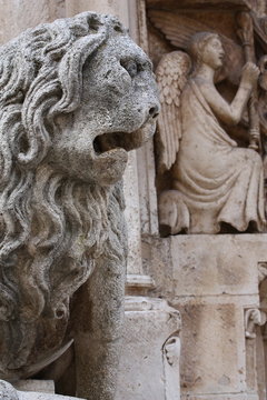 Leone stiloforo Cattedrale di Altamura