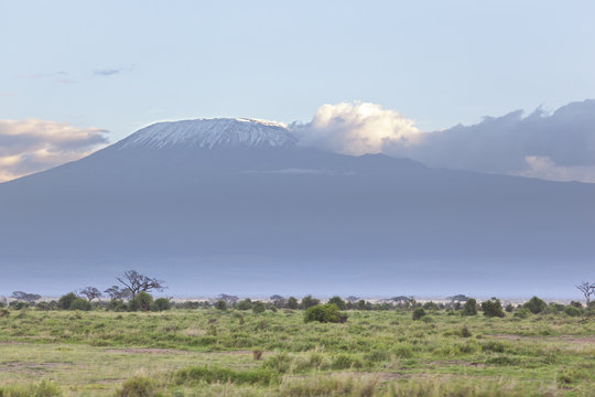 Kilimanjaro with snow cap