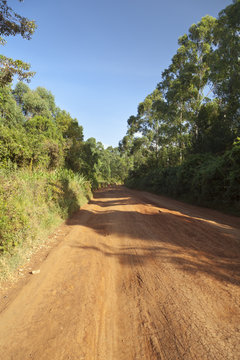 Typical Kenyan Dirt Road