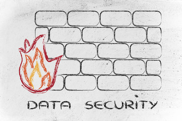 funny firewall design and internet security