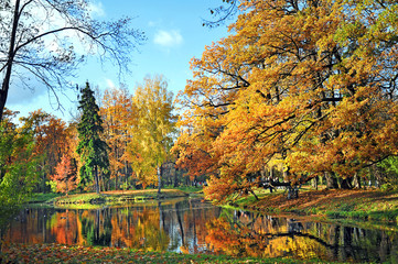 beautiful autumn in the park