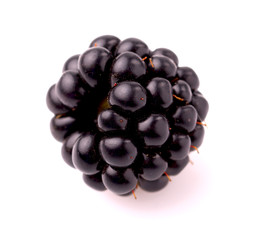 fresh blackberry