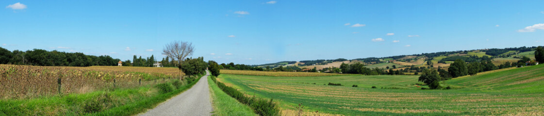 Fototapeta na wymiar paysage du Gers, France