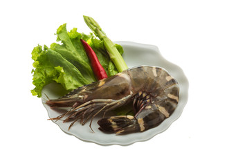 Tiger prawn