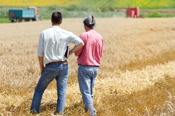 Business people on wheat field