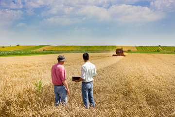 Business people on wheat field