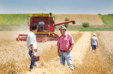 .Business people on wheat field