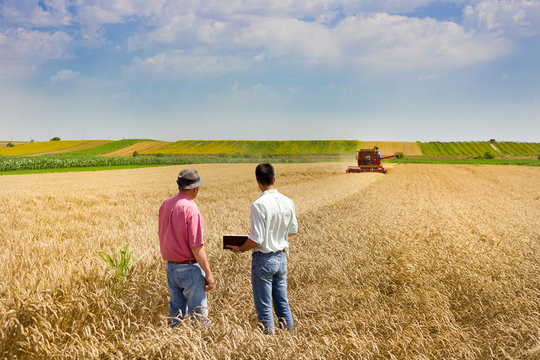 Business People On Wheat Field