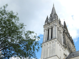 Fototapeta na wymiar cathédrale d'Angers