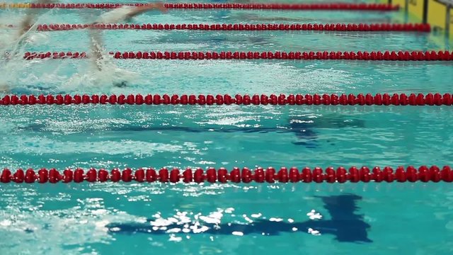Swimming competition start and finish