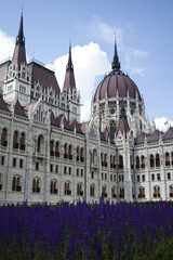 Obraz premium Parliament building in Budapest, Hungary