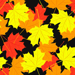 Seamless pattern of maple leaves. Vector illustration