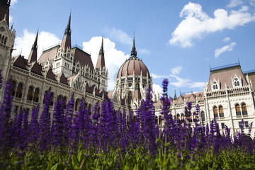 Fototapeta na wymiar Parliament building in Budapest