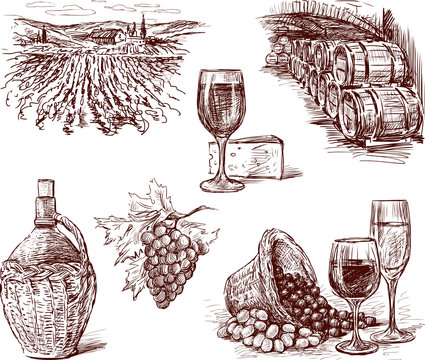 Pictures of the grape wine