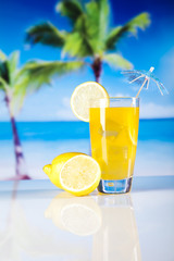Lemon cocktail drink