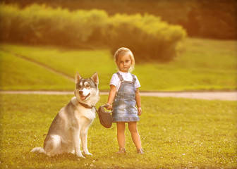 little girl in the park their home with a dog Husky