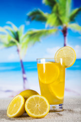 Lemon cocktail drink