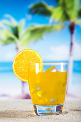 Orange cocktail drink