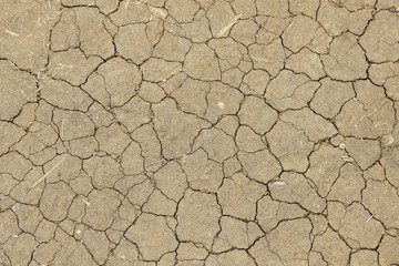 Tierra seca