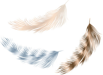 three feathers