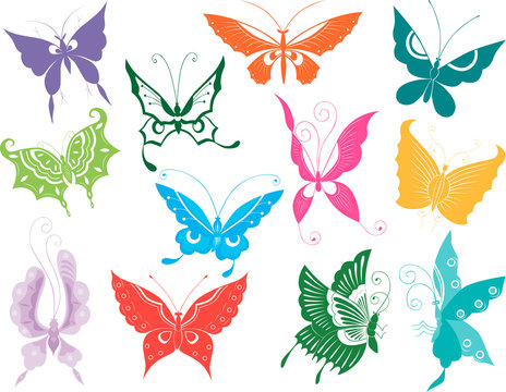 twelve butterflies