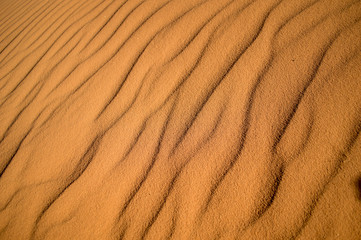 Desert sand