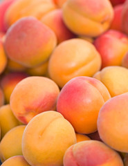 Organic Nectarines Abstract